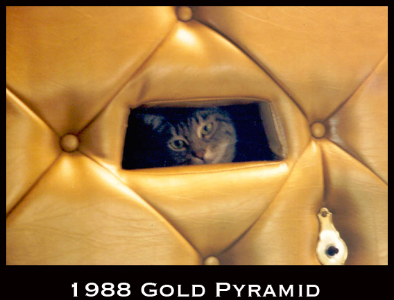 Birth of the Gold Pyramid